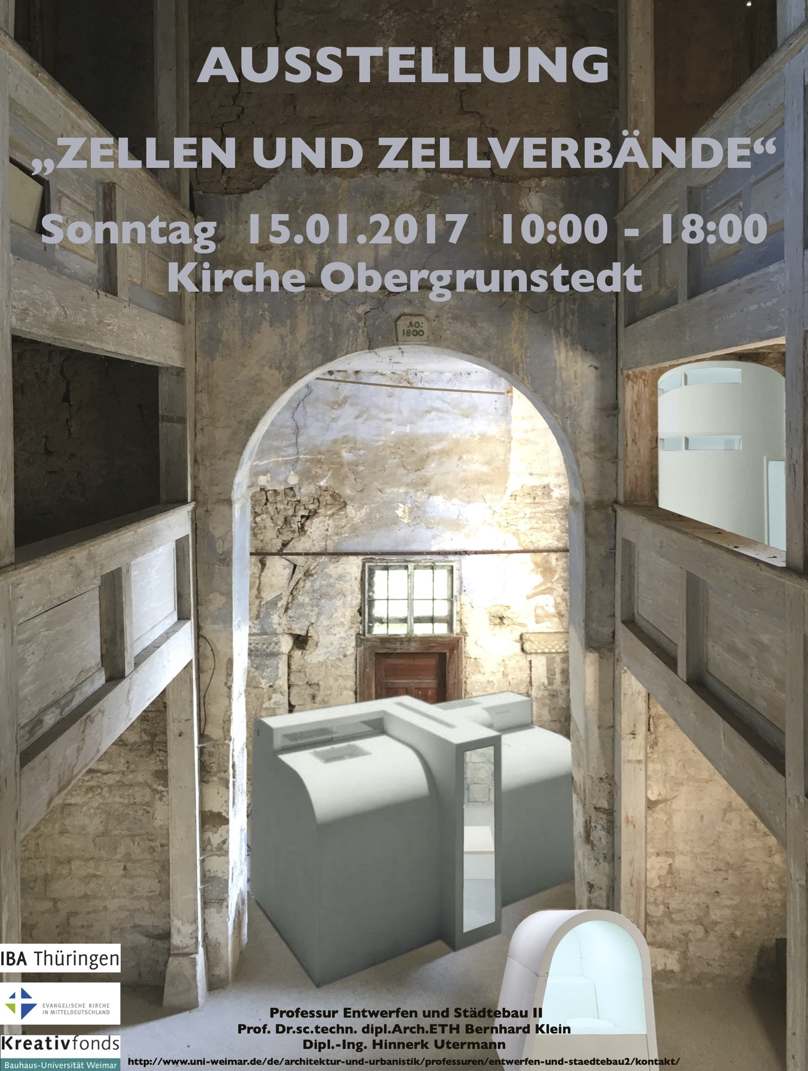 Zellen & Zellenverbände