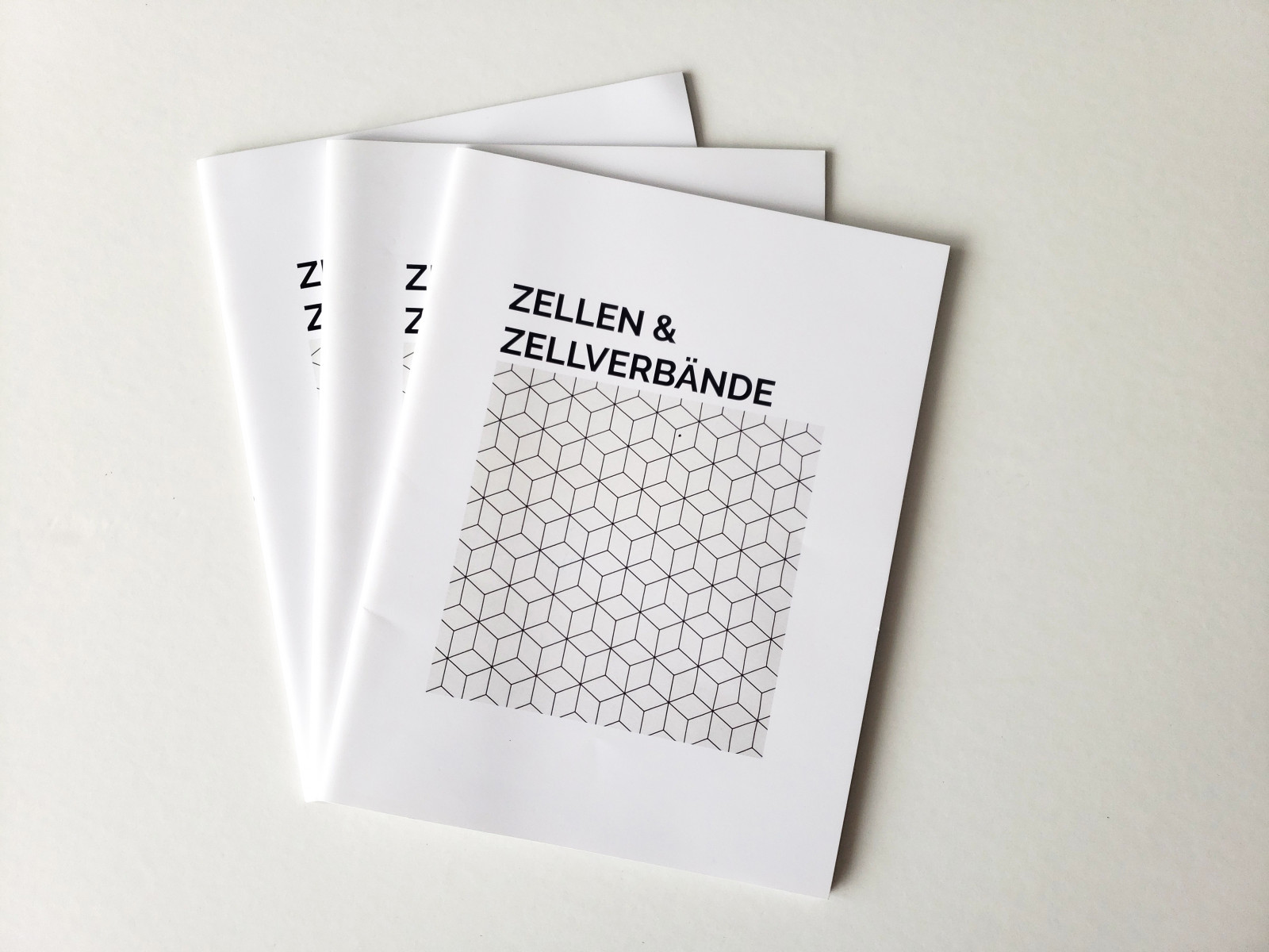 Zellen & Zellenverbände